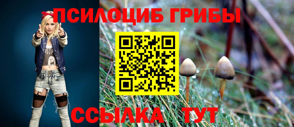 Черкесск  Галлюциногенные грибы MAGIC MUSHROOMS  наркота  Вход с VPN 